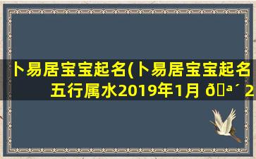 卜易居宝宝起名(卜易居宝宝起名五行属水2019年1月 🪴 21日18点50分 🐯 )
